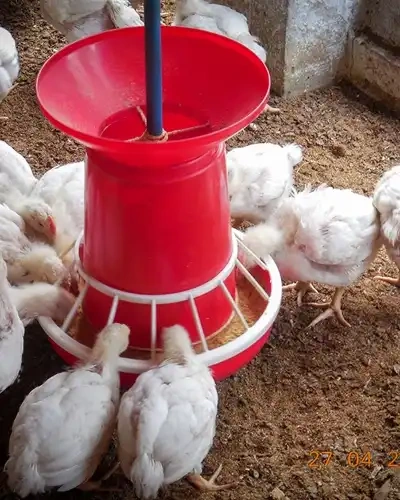 Rescue