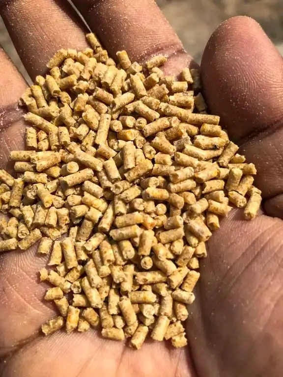 Feed Plant
